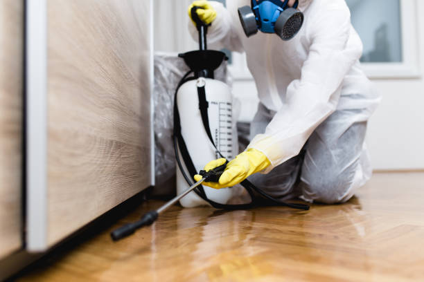 Best Emergency Pest Control  in Spokane Valley, WA