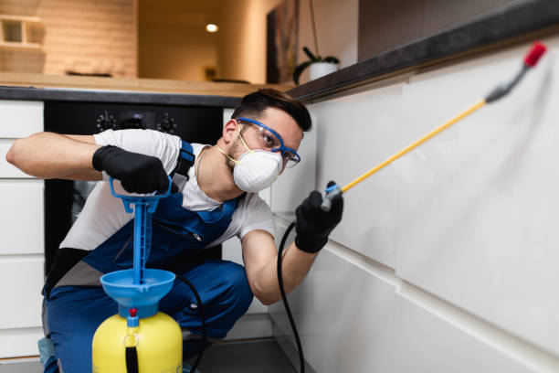 Best Pest Inspection Near Me  in Spokane Valley, WA
