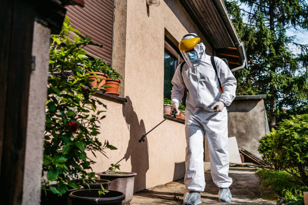 Wildlife Control Services in Spokane Valley, WA