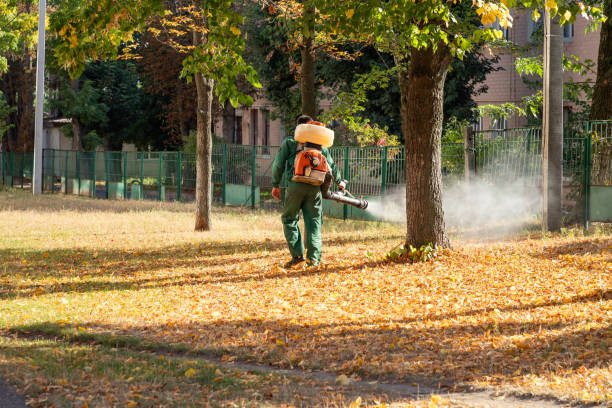 Reliable Spokane Valley, WA Pest Control Solutions