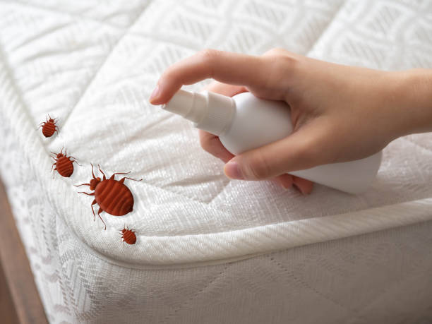  Spokane Valley, WA Pest Control Pros