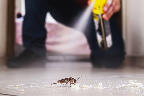Best Pest Prevention Services  in Spokane Valley, WA