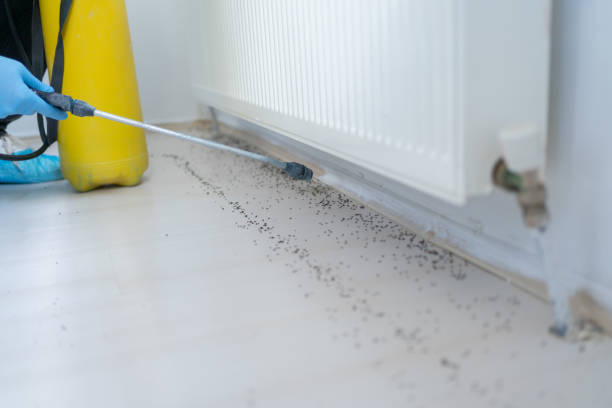 Best Emergency Pest Control  in Spokane Valley, WA