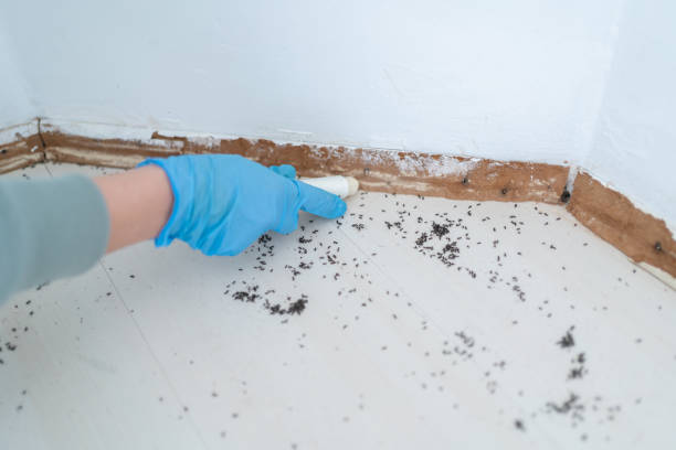 Best Pest Removal Services  in Spokane Valley, WA