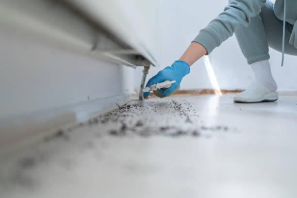 Best Best Pest Control Companies  in Spokane Valley, WA