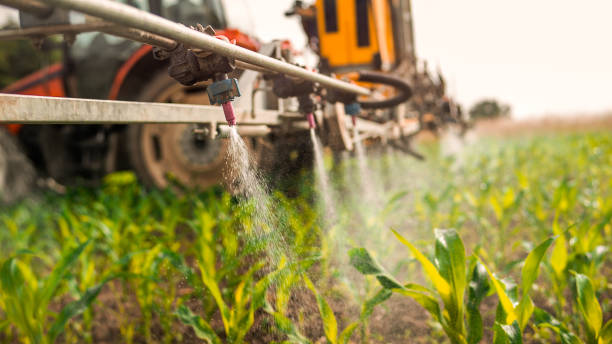 Best Mosquito Control Services  in Spokane Valley, WA